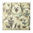 Buscar american azulejos Cachorro