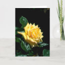 Buscar grandpa tarjetas Familia