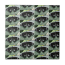 Buscar mariposas negras azulejos Para todos