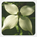 Buscar floral p pegatinas Naturaleza