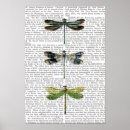Buscar animales posters Hojas de flores