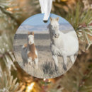 Buscar caballos salvajes adornos Caballo salvaje