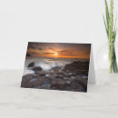 Buscar splash tarjetas Salpicar