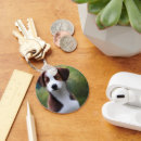 Buscar collie llaveros Cachorro