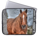 Buscar cuarto fundas Cuarto de caballo