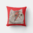 Buscar meme cojines Meme de gato