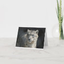 Buscar onza fotografía Leopardo