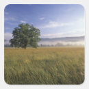 Buscar cad pegatinas Cades cove