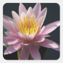 Buscar barricada postales Día