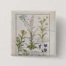 Buscar medicinal chapas Testard