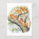 Buscar beatrix potter postales Lindo