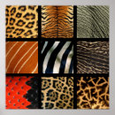 Buscar estampado leopardo posters Guepardo