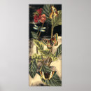 Buscar natura arte Insect