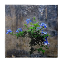 Buscar envejecido azulejos Floral