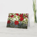 Buscar ramo tarjetas General y unisex