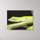 Buscar lagarto lienzos Fauna