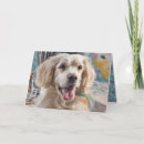 Buscar mancha tarjetas General y unisex