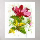Buscar cartouche posters Belleza
