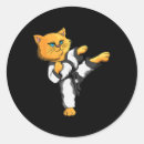 Buscar martial arts pegatinas Boxeo