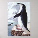 Buscar polo sur posters Pájaros