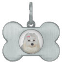 Buscar maltés perro accesorios Para todos