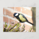 Buscar pájaro blanco y negro postales General y unisex