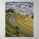 Buscar yunnan posters Arquitectura
