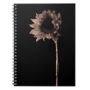 Buscar sepia libretas Moderno