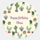 Buscar plantas suculentas pegatinas Para niños