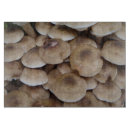 Buscar setas tablas cortar Hongos