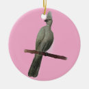 Buscar lápices adornos General y unisex