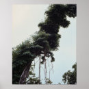 Buscar tronco de árbol posters Exterior