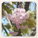 Buscar flores japonesas posavasos Primavera