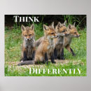 Buscar diferente posters Naturaleza