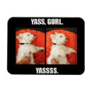 Buscar gurl Divertido