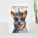 Buscar queensland tarjetas Perro de ganado australiano