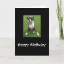 Buscar boxer dog tarjetas Lindo