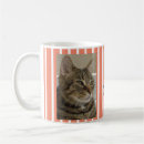 Buscar cute cat tazas Adorable