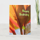 Buscar gecko tarjetas Arco iris