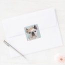 Buscar animales domésticos mascotas pegatinas Cachorro