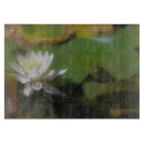 Buscar toro tablas cortar Vida silvestre