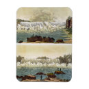 Buscar niagara imanes Americano