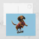Buscar amante del doxie postales Salchicha
