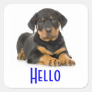 Buscar rottweiler pegatinas Perro