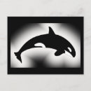Buscar orca postales Ballena asesina
