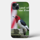 Buscar el birding electronica Pulsación de corriente