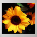 Buscar florista posters Verano