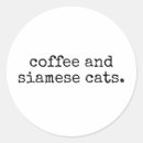Buscar gatos siameses Siamés