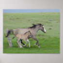 Buscar mustang arte Equine