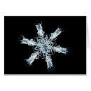 Buscar ciencias naturales postales Nadie